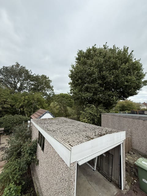 Corrugated cement sheet roof, mossed over, on a garage and lean-to